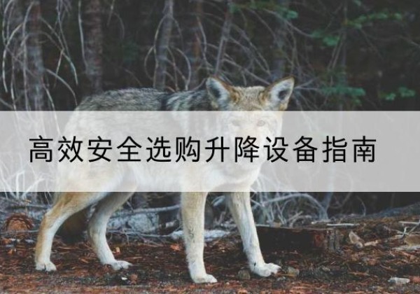 铜仁升降货梯厂家推荐-*安全选购升降设备指南
