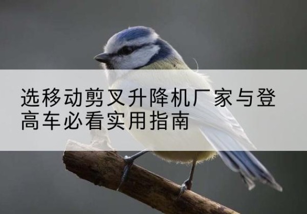 铜仁电动升降机厂家-选移动剪叉升降机厂家与登高车必看实用指南
