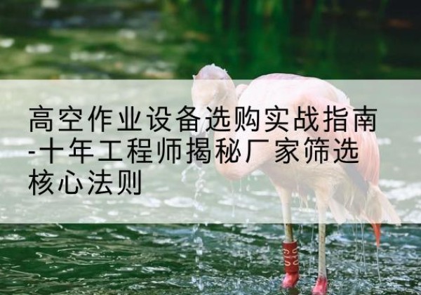 铜仁剪叉式升降机厂家-高空作业设备选购实战指南-十年工程师揭秘厂家筛选核心法则